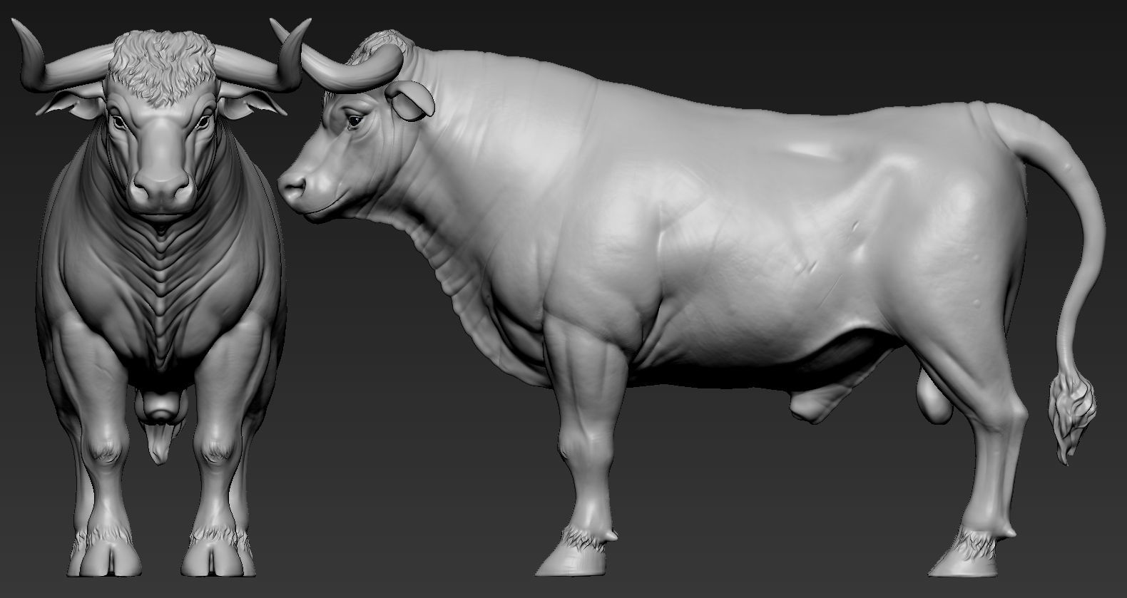 Toros Bravos 3D print model_2