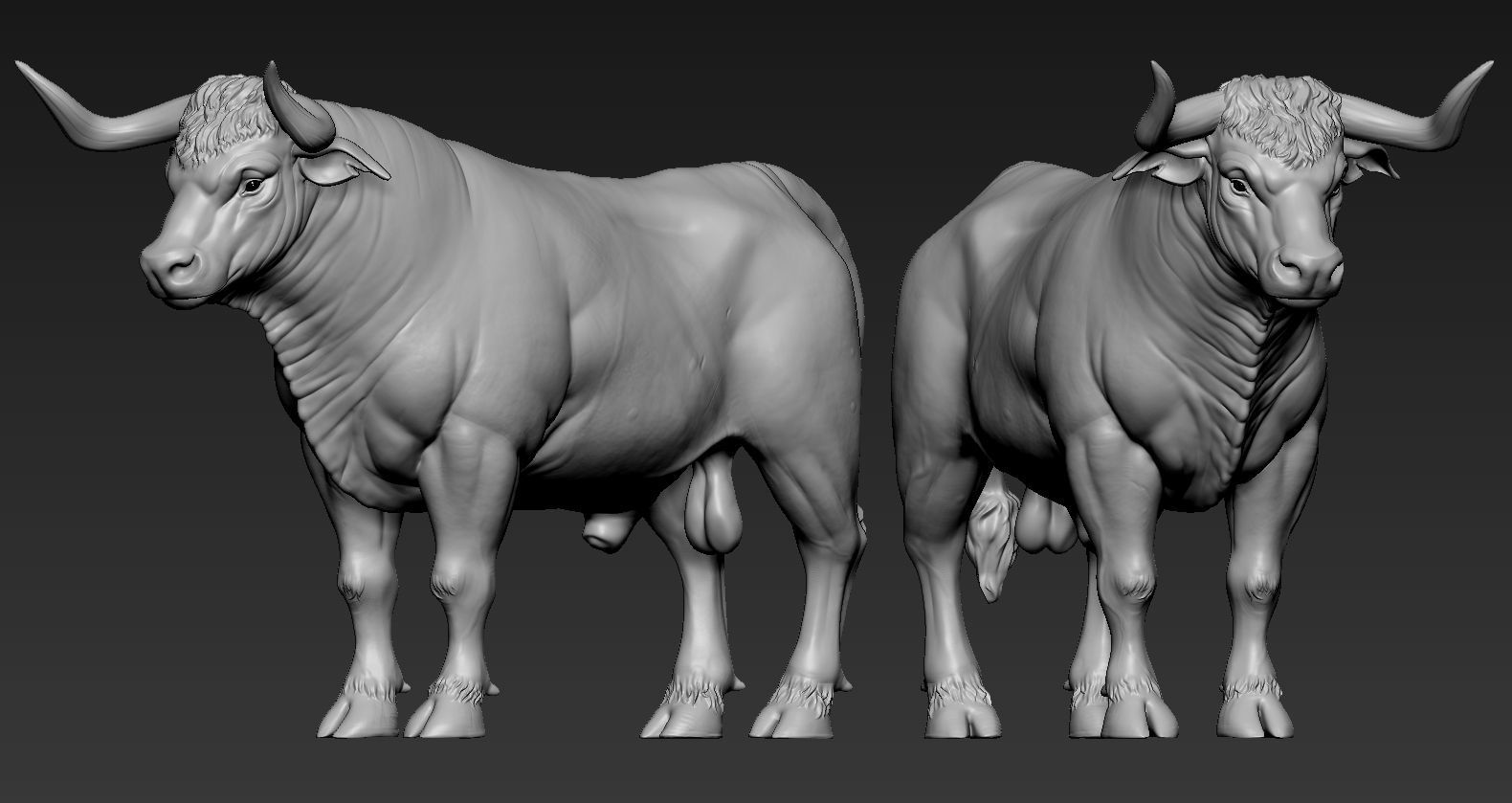 Toros Bravos 3D print model_5