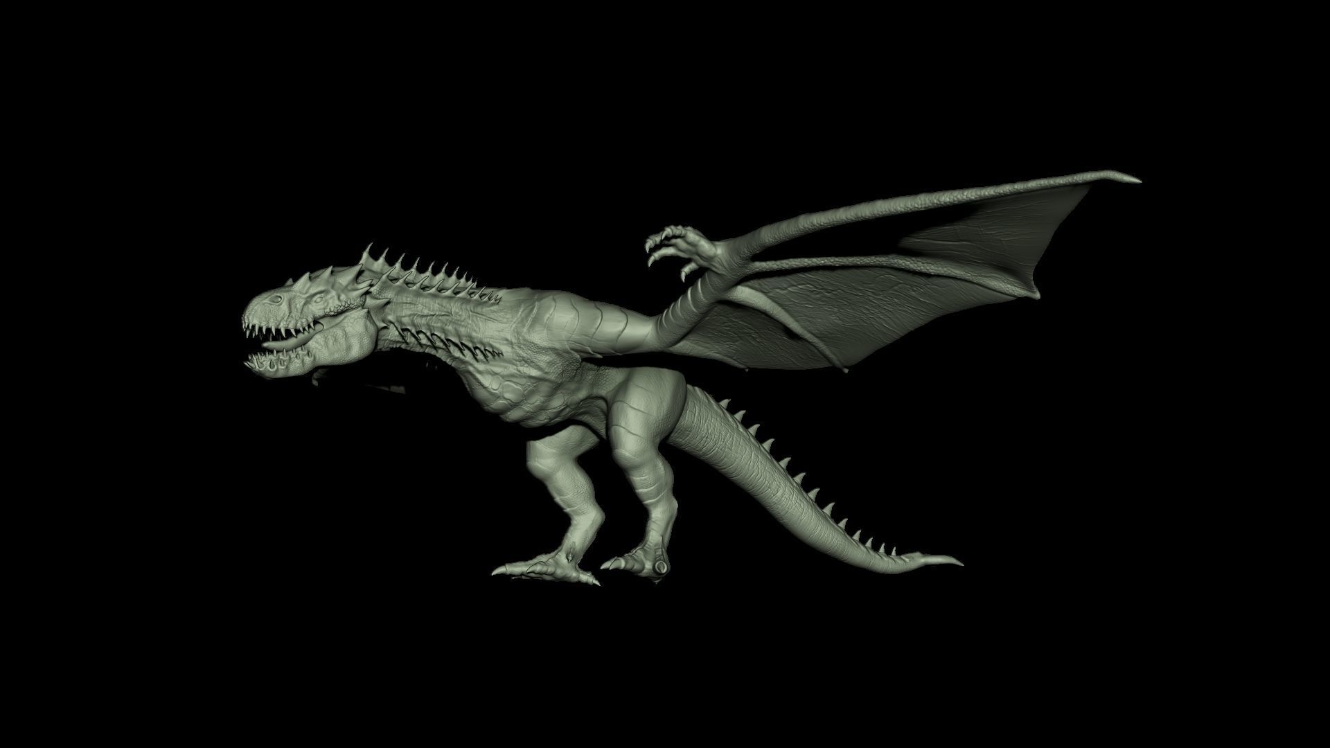 Wyvern Rex 3D model_16