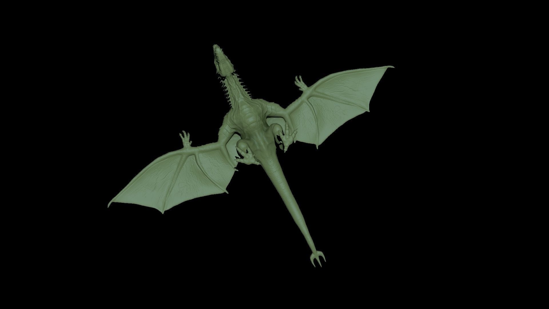Wyvern Rex 3D model_14