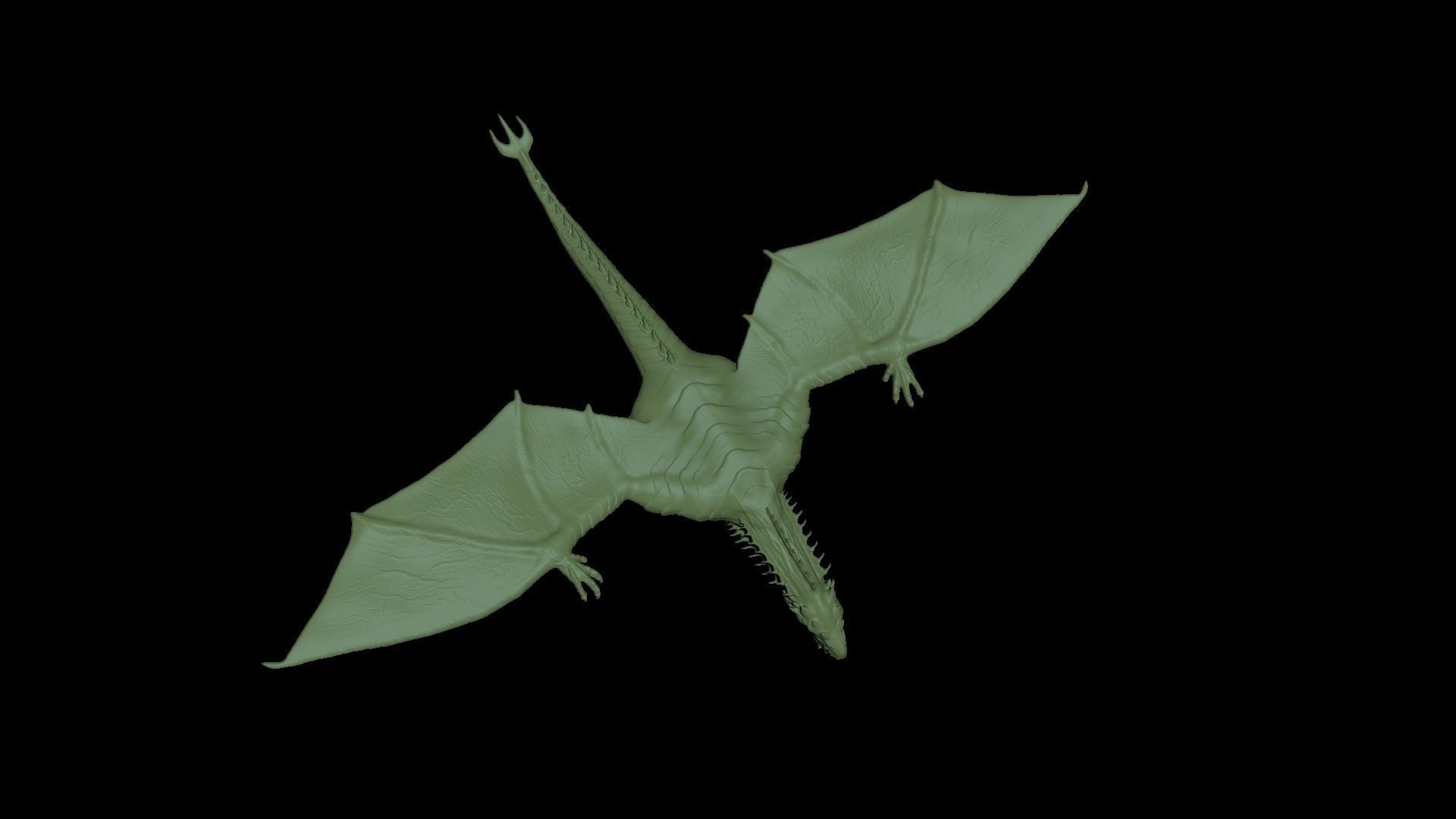 Wyvern Rex 3D model_13