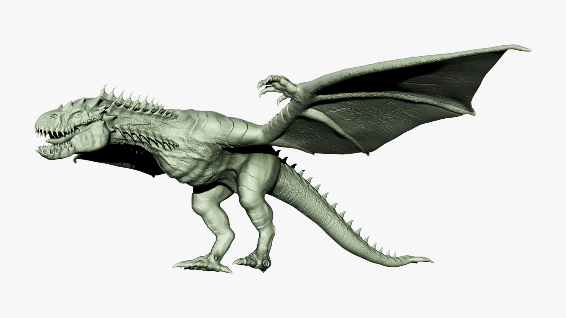 Wyvern Rex 3D model_2
