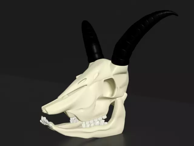 Goat Skull 3D model