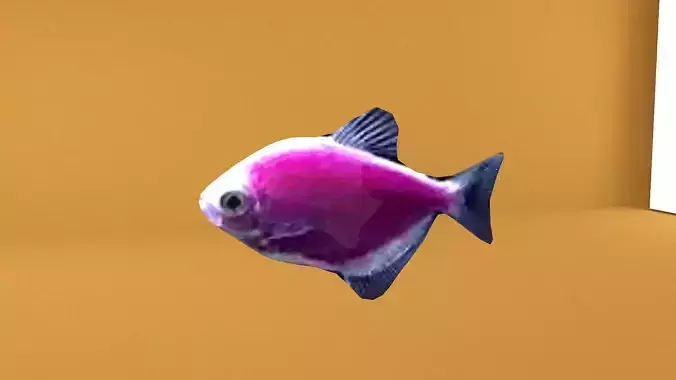 glofish rigged lowpoly Low-poly 3D model