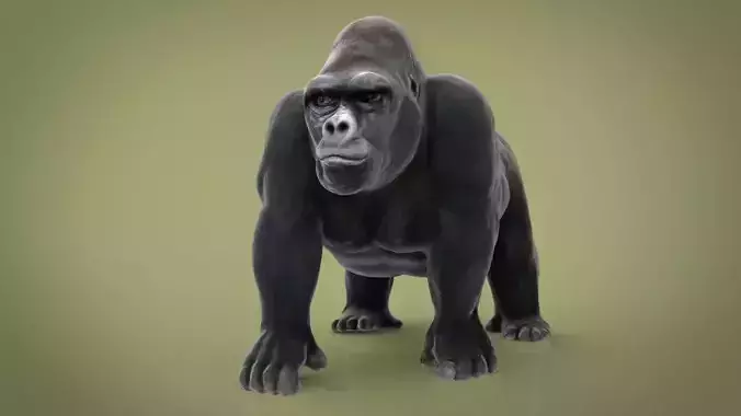 GORILLA Low-poly 3D model