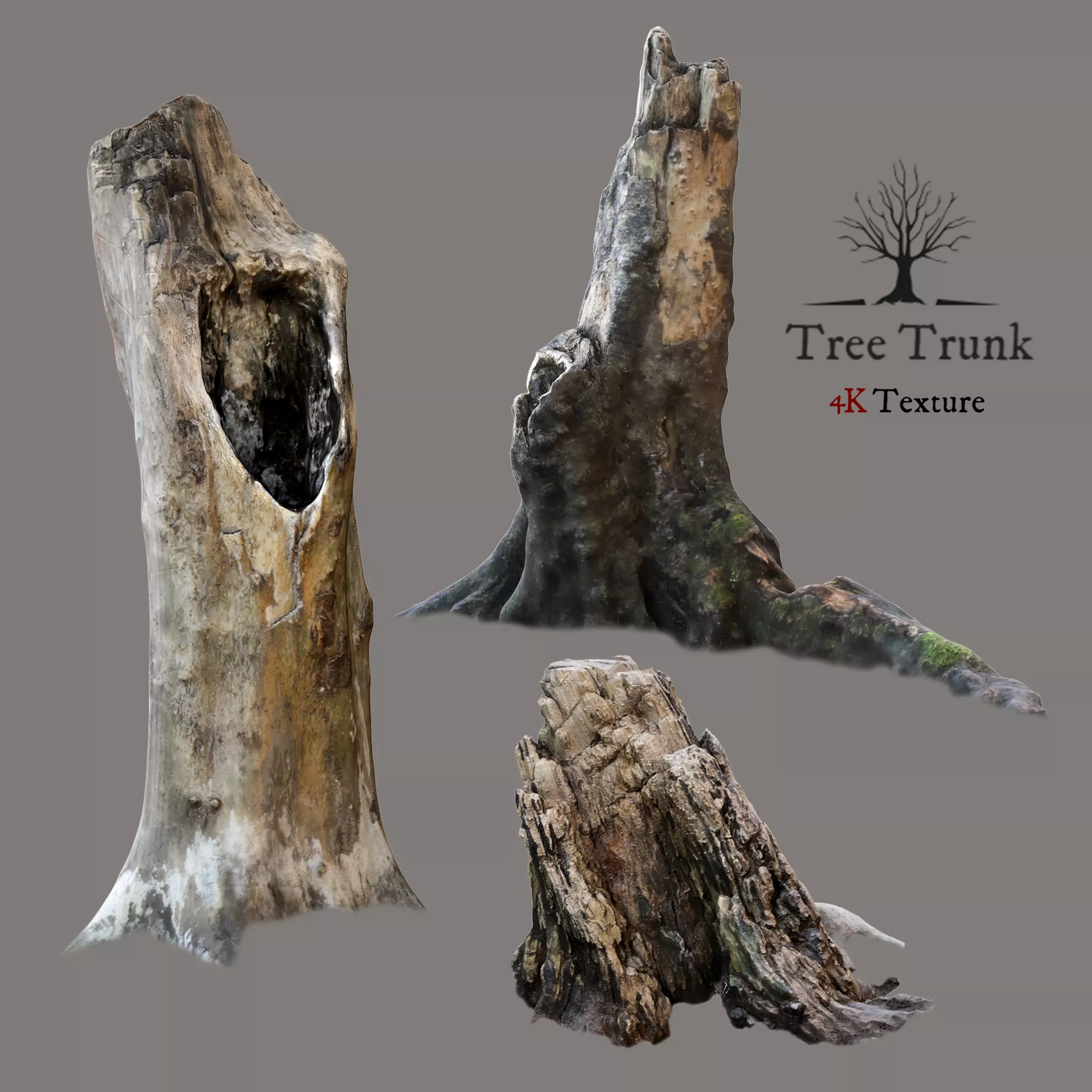 Tree trunks 3D model