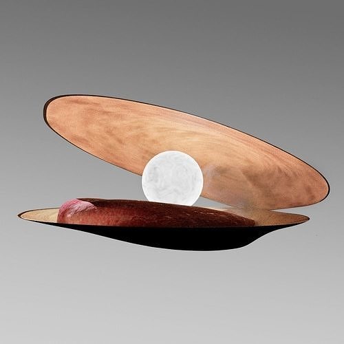 3D Clam moon in shell 3D model