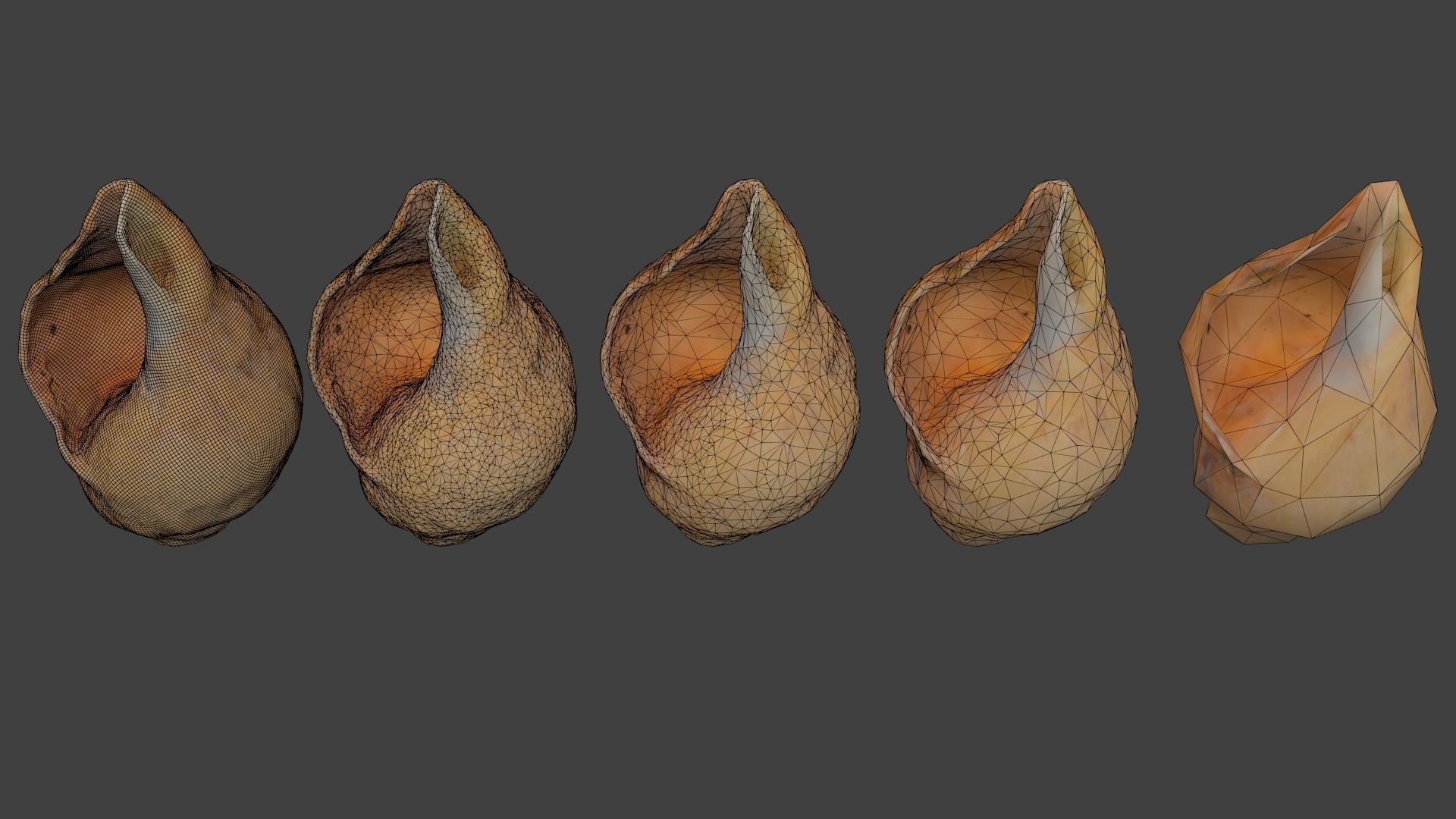 3D model Pointed Spiral Seashell Photoscan VR / AR / low-poly | CGTrader