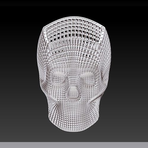 Skull study 1 3D print model