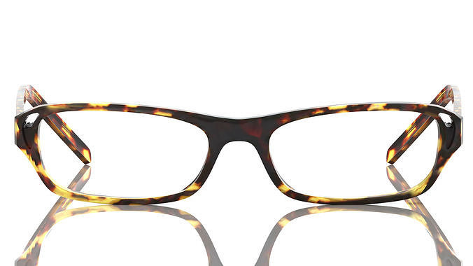 Eyeglasses for Men and Women 3D print model