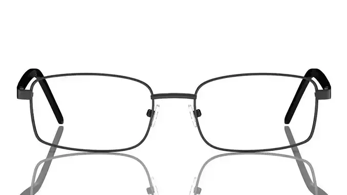 Eyeglasses for Men and Women 3D print model