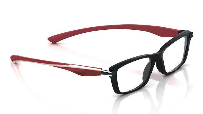 Eyeglasses for Men and Women 3D print model