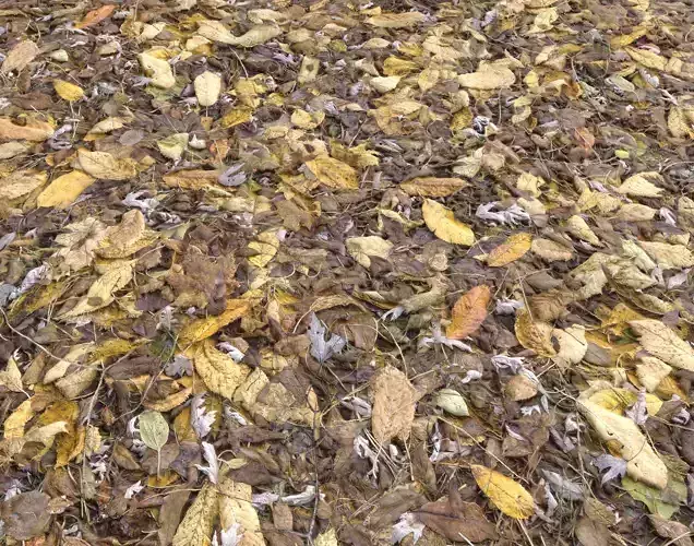 Forest Terrain Pack 22