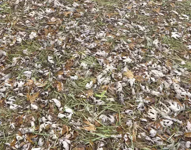 Forest Terrain Pack 18