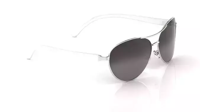 Eyeglasses for Men and Women 3D print model