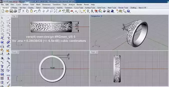 jewelry ring ornament