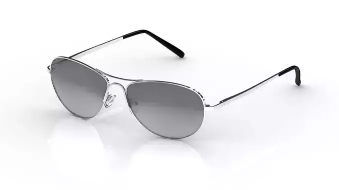 Eyeglasses for Men and Women 3D print model