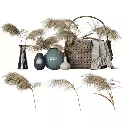Reed Set vase with dried grass in it
