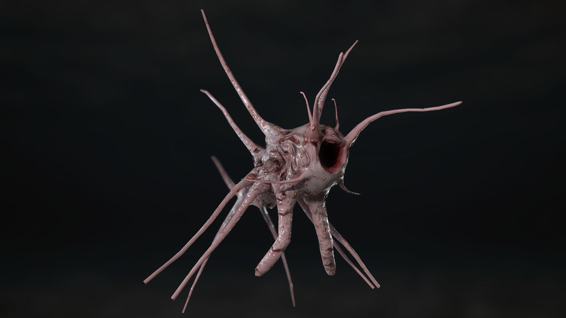 Tentacle Monster Low-poly 3D model_5