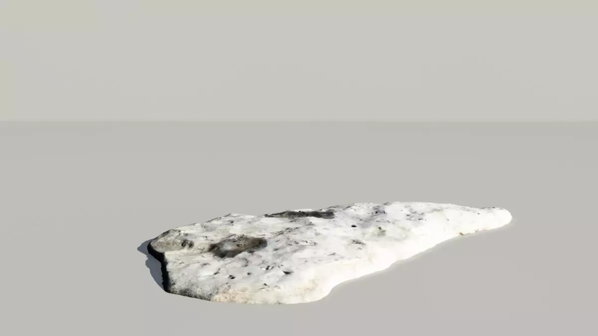 Fossil Whale Bones Scanned 3d Model 3D model