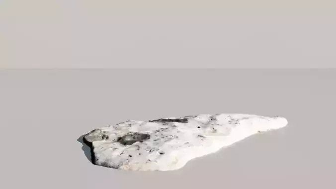 Fossil Whale Bones Scanned 3d Model