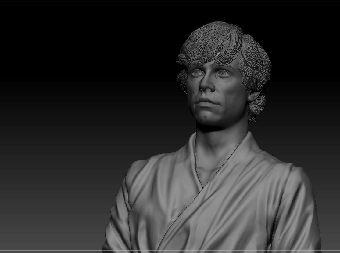 Mark Hamill - Luke Skywalker - Star Wars A new hope 3D print model_1