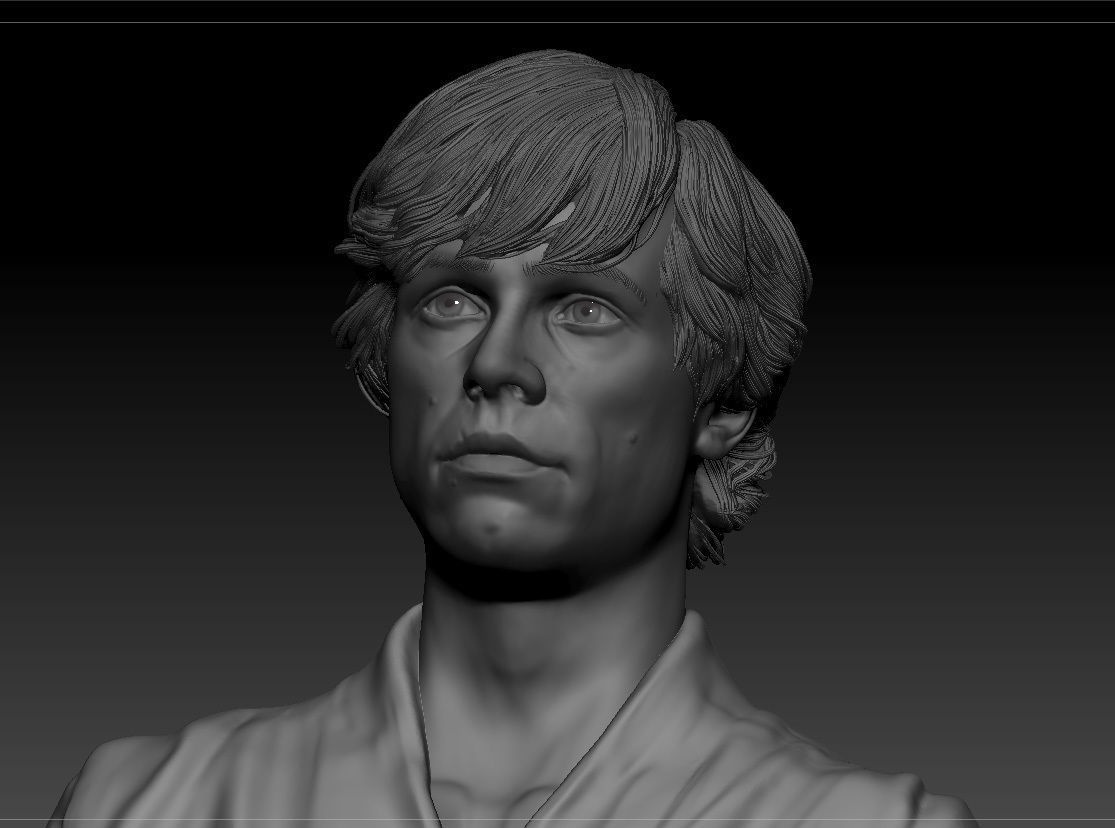 Mark Hamill - Luke Skywalker - Star Wars A new hope 3D print model_9