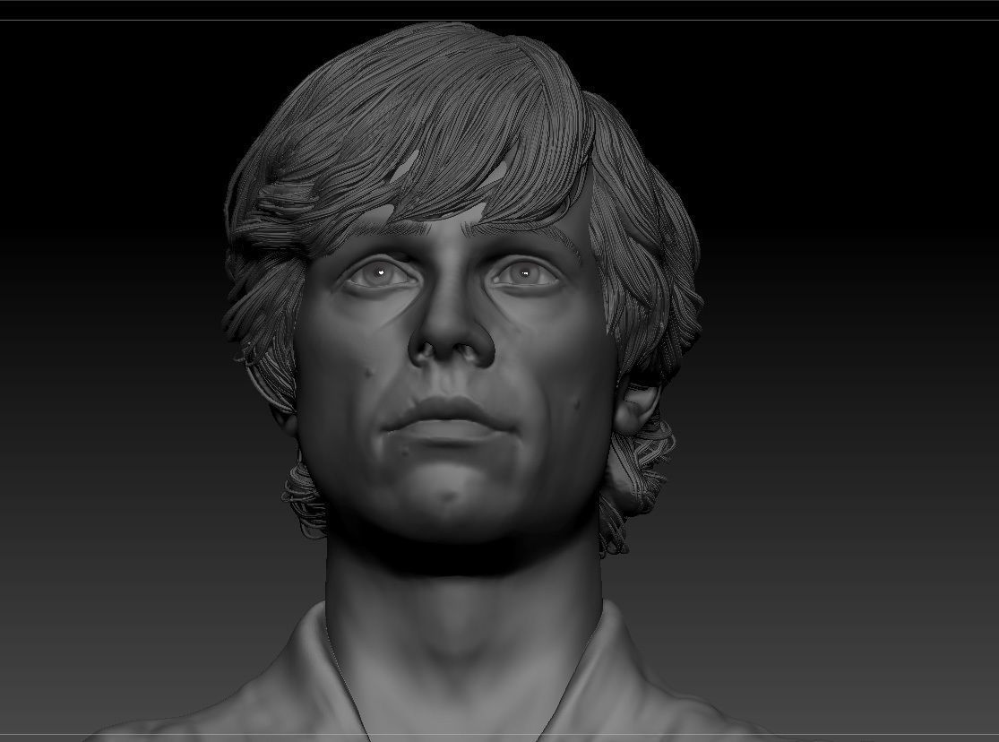 Mark Hamill - Luke Skywalker - Star Wars A new hope 3D print model_13