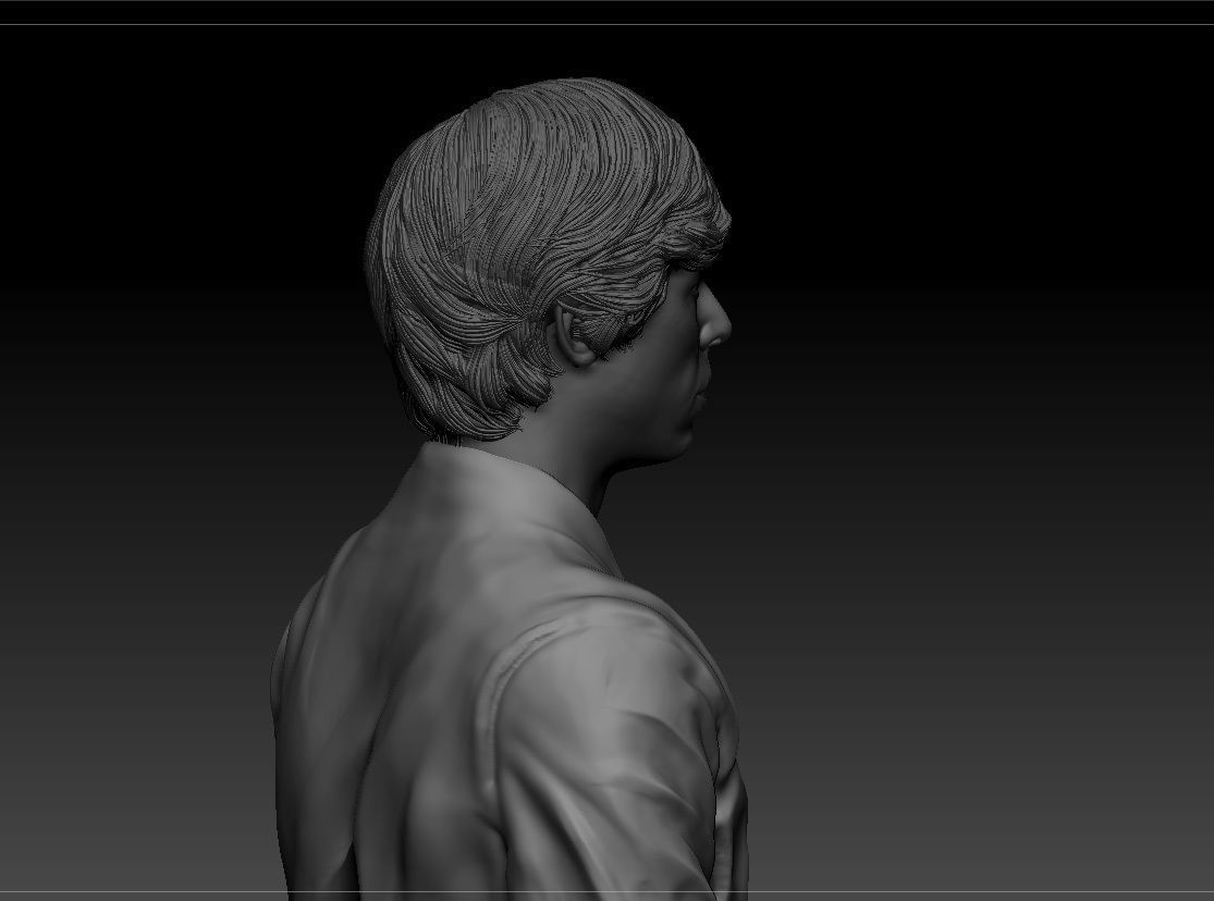 Mark Hamill - Luke Skywalker - Star Wars A new hope 3D print model_6