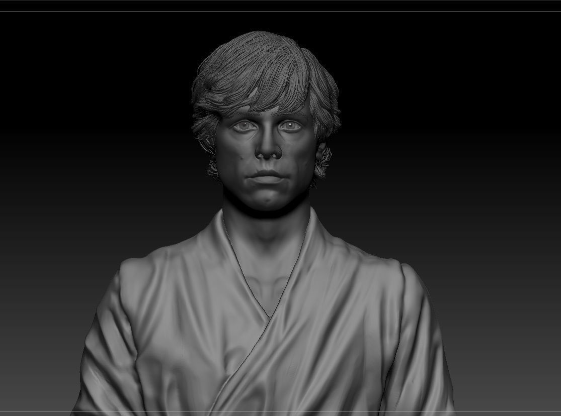 Mark Hamill - Luke Skywalker - Star Wars A new hope 3D print model_2
