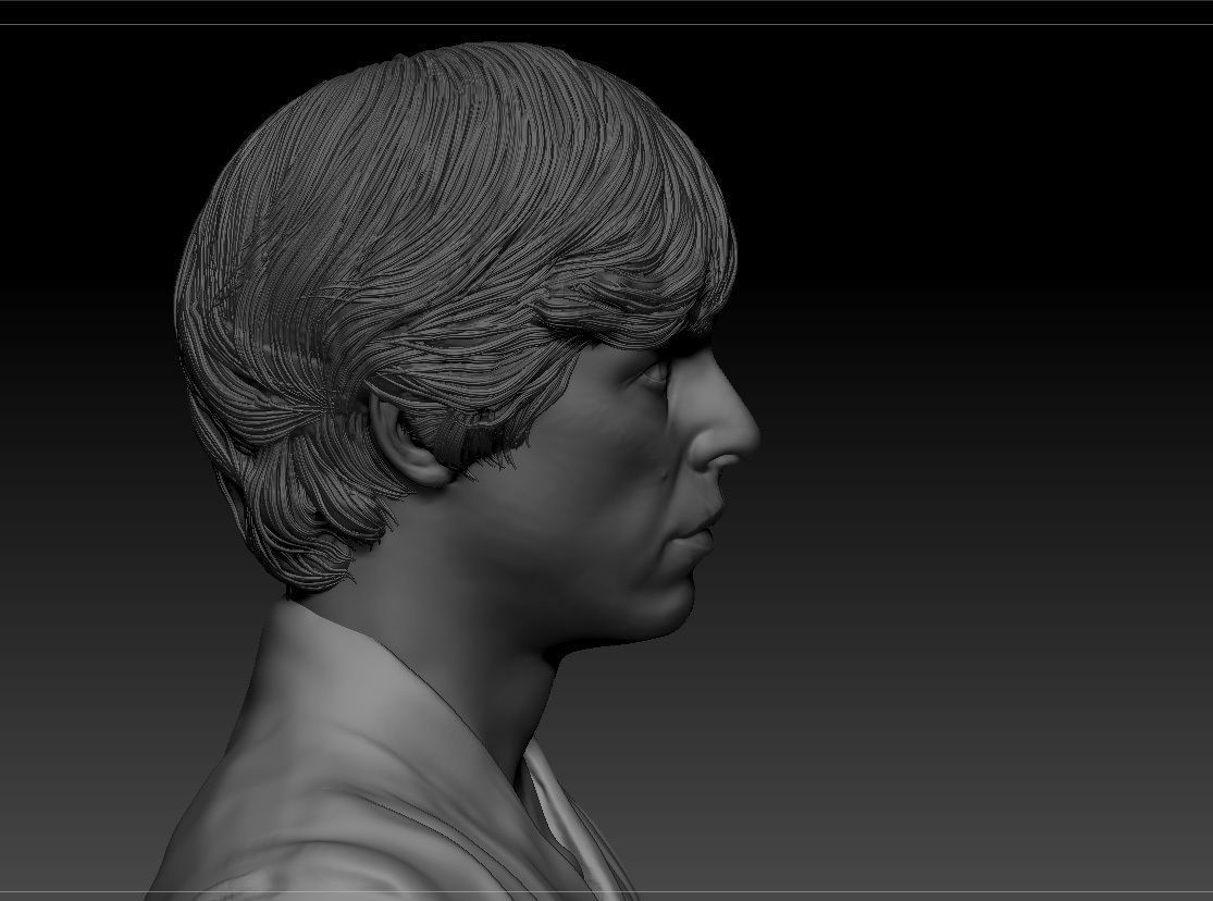 Mark Hamill - Luke Skywalker - Star Wars A new hope 3D print model_11