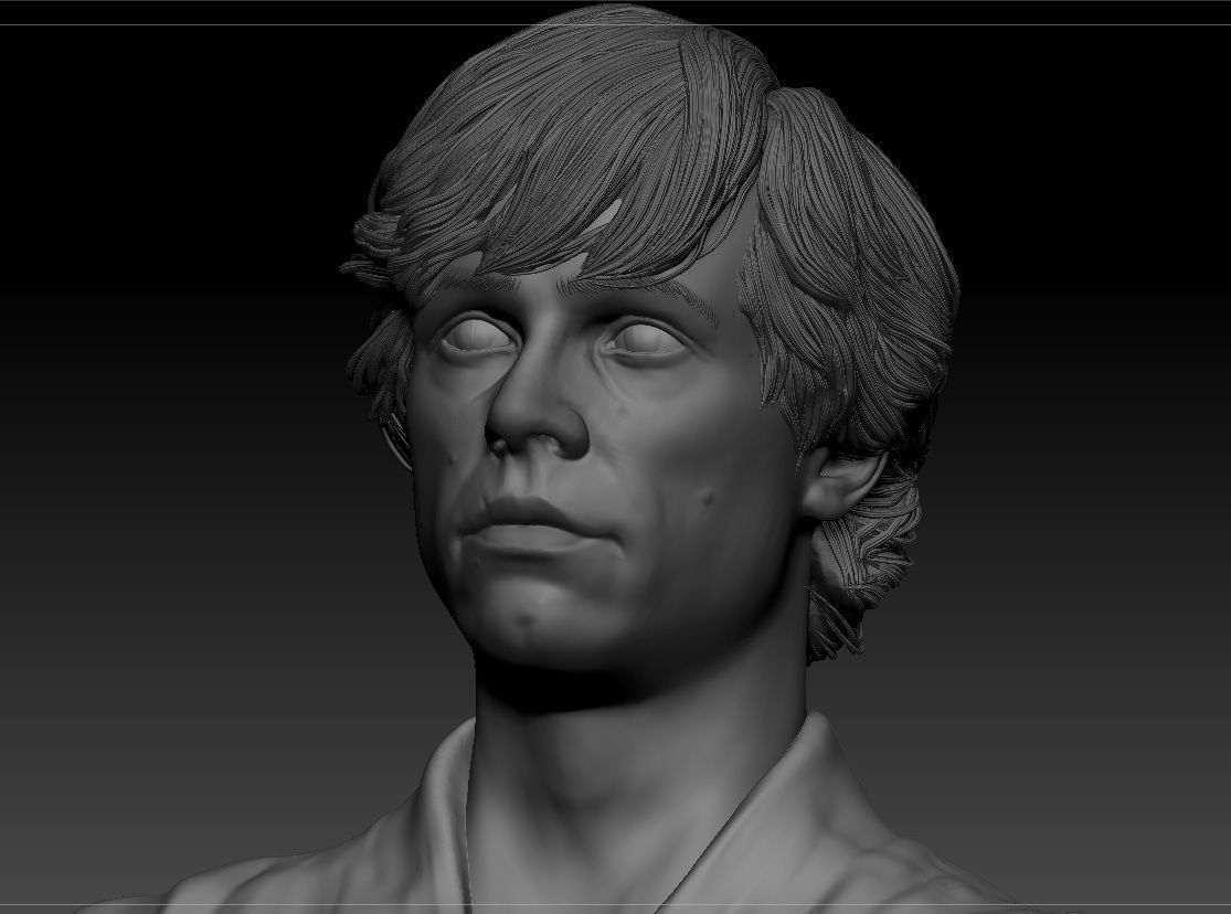 Mark Hamill - Luke Skywalker - Star Wars A new hope 3D print model_14