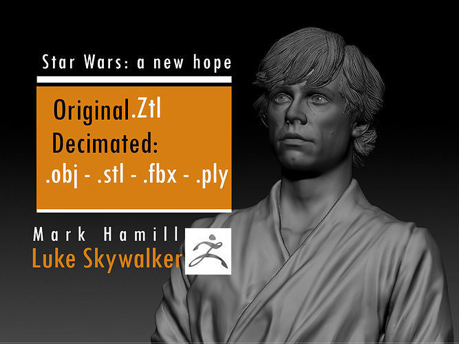 Mark Hamill - Luke Skywalker - Star Wars A new hope 3D print model