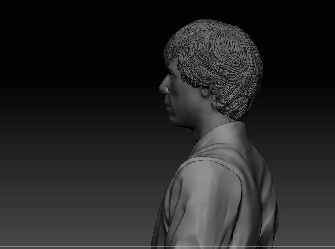 Mark Hamill - Luke Skywalker - Star Wars A new hope 3D print model_8