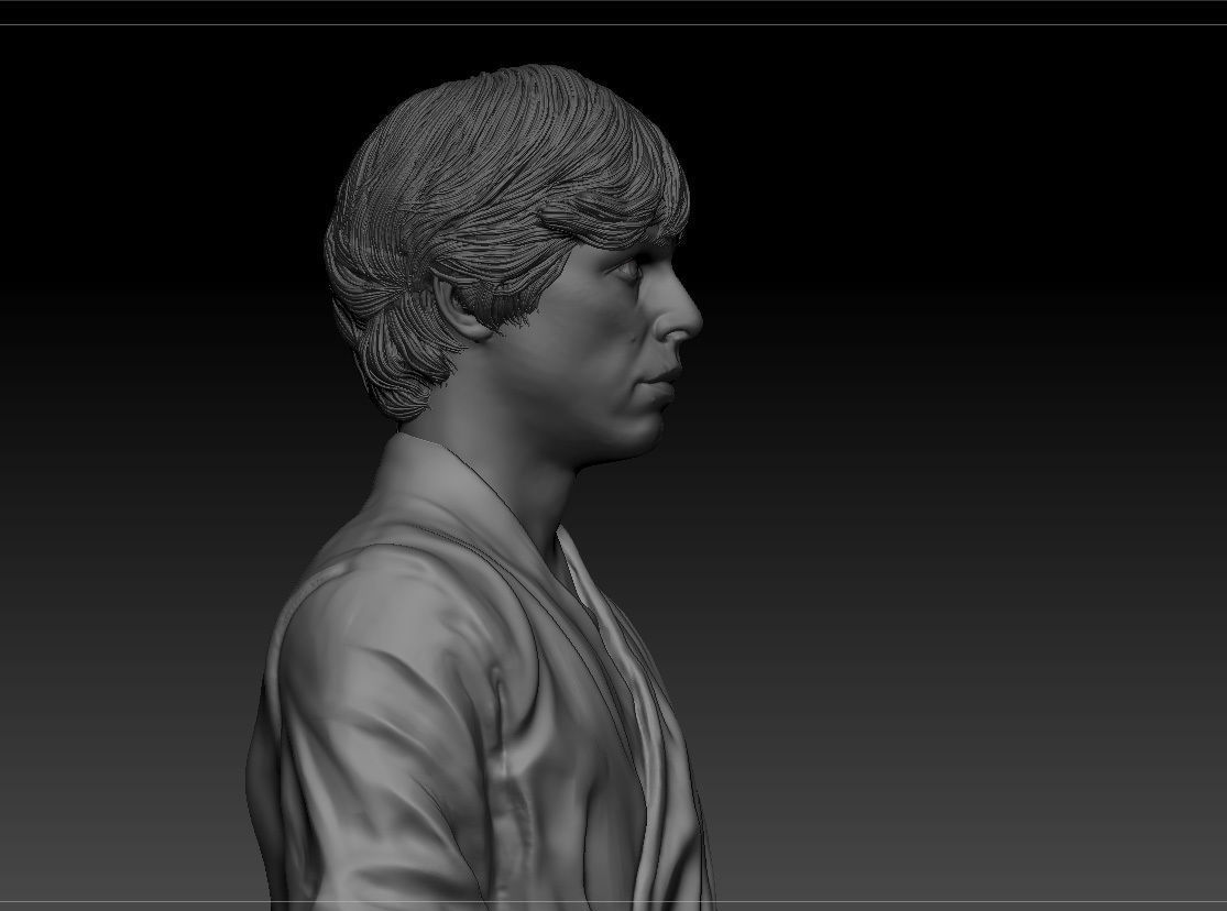Mark Hamill - Luke Skywalker - Star Wars A new hope 3D print model_5