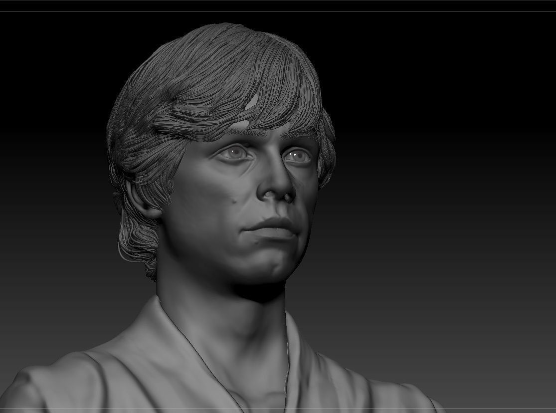 Mark Hamill - Luke Skywalker - Star Wars A new hope 3D print model_10