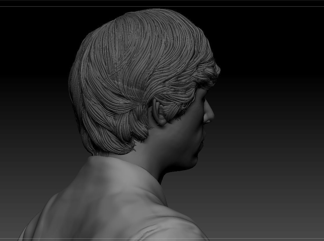 Mark Hamill - Luke Skywalker - Star Wars A new hope 3D print model_12