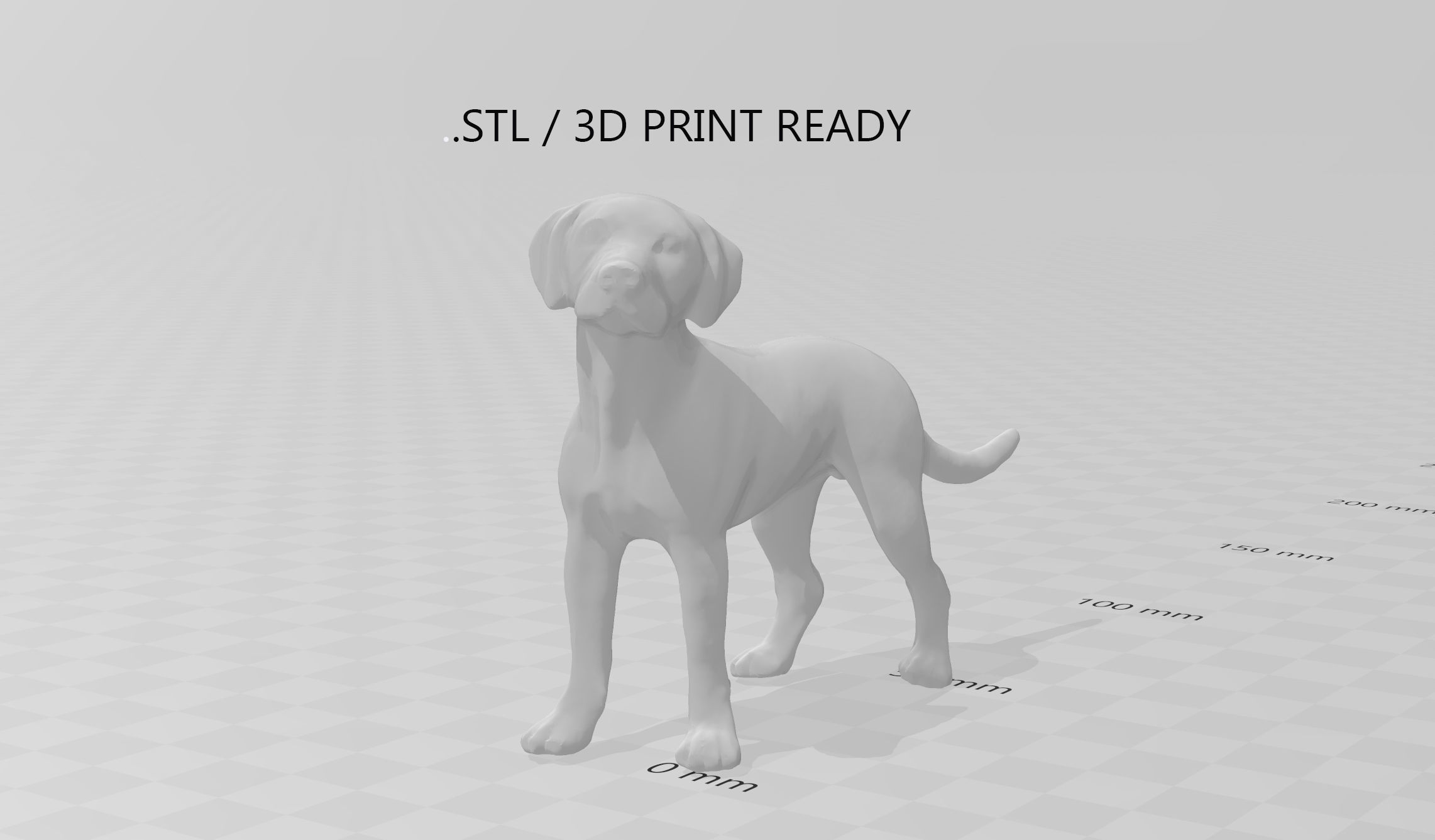 LABRADOR retriever Low-poly 3D model_11