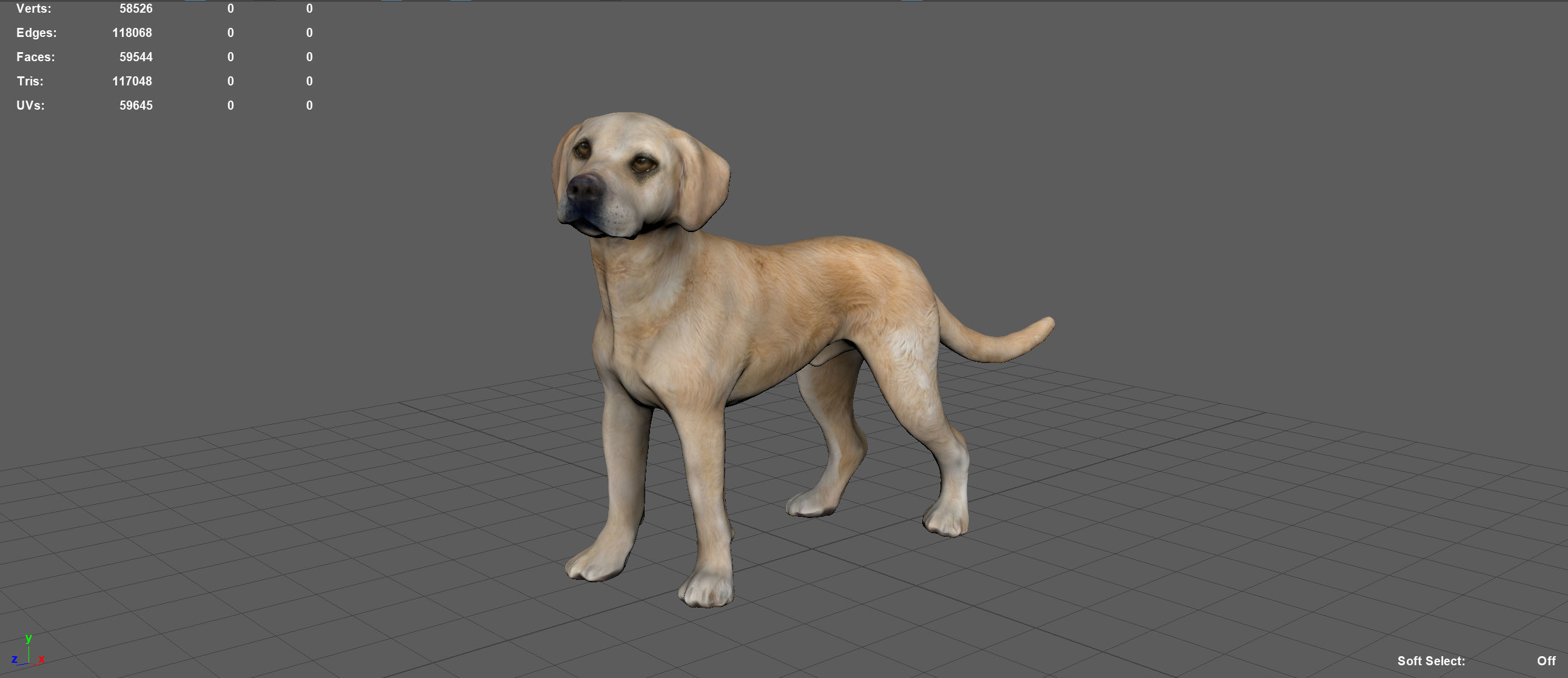 LABRADOR retriever Low-poly 3D model_5