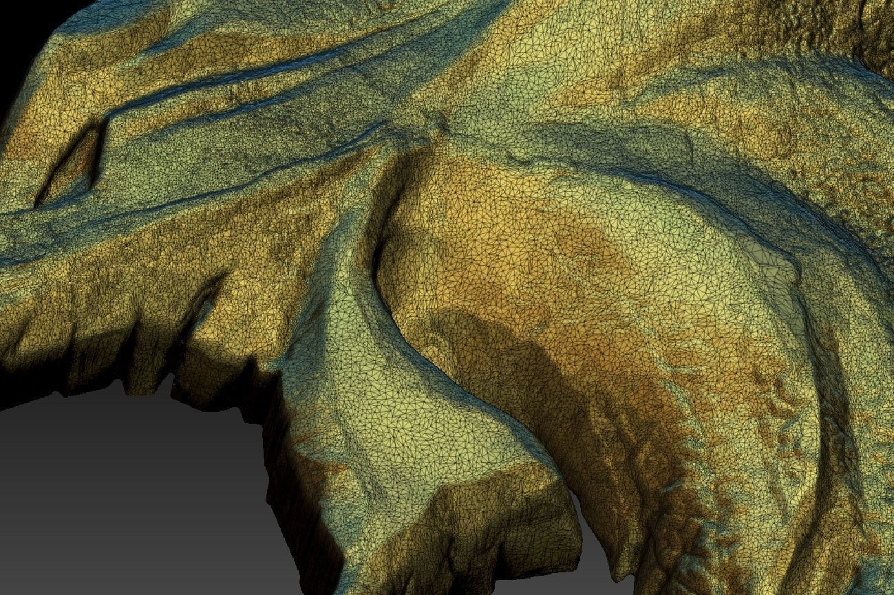 Witcher amulet - WOLF 3D print model_9