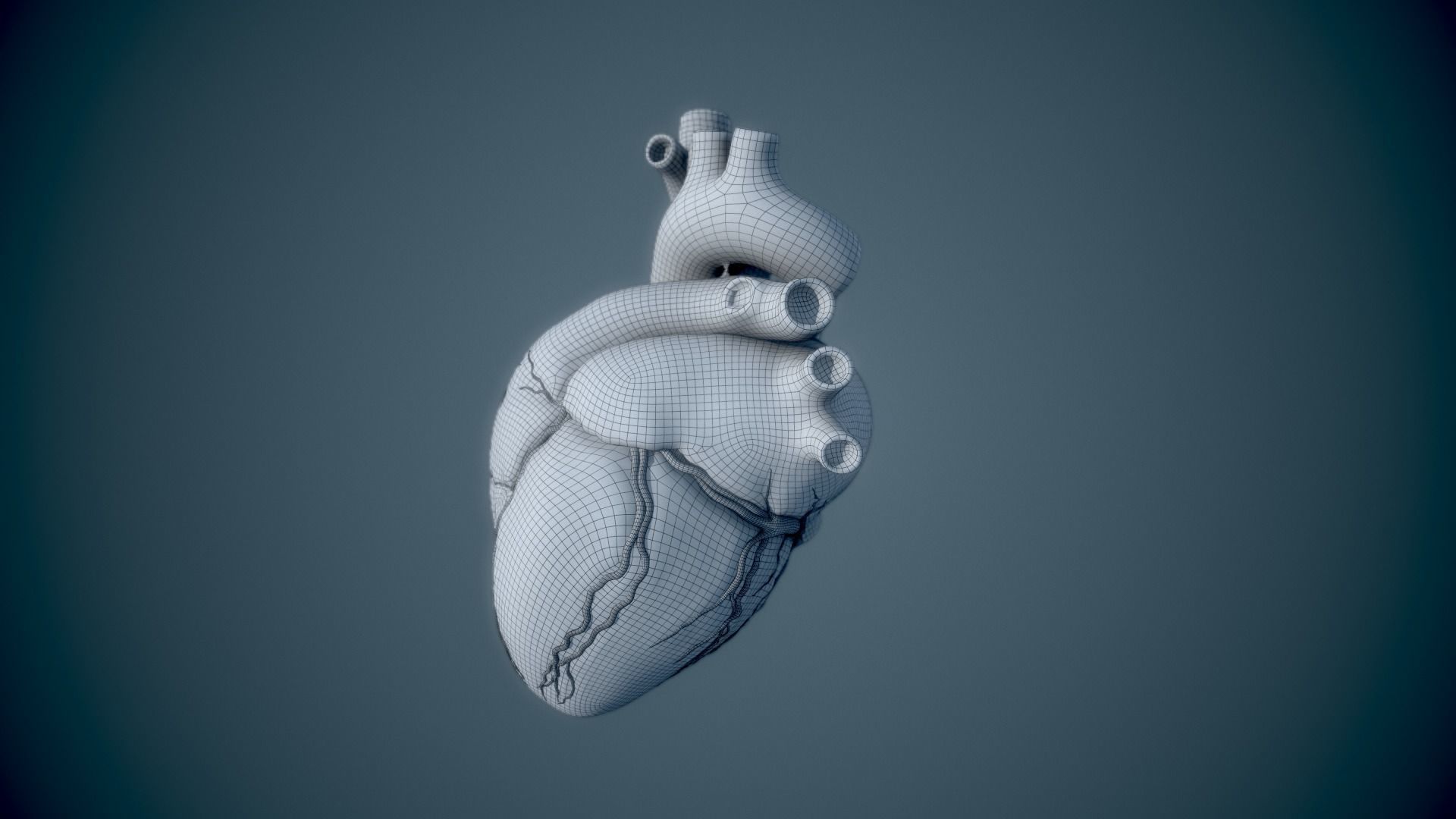 Human Heart - heartbeat animation Low-poly 3D model_23