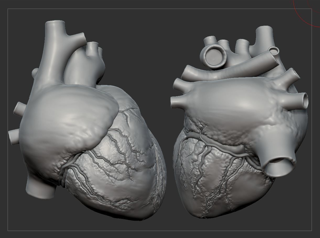 Human Heart - heartbeat animation Low-poly 3D model_28