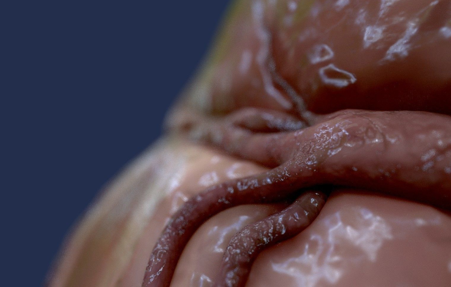 Human Heart - heartbeat animation Low-poly 3D model_16