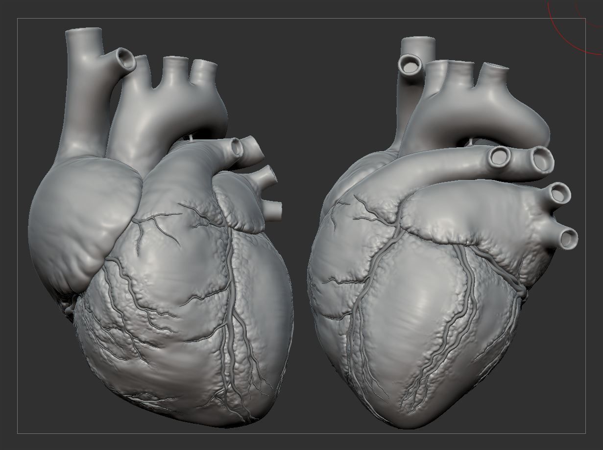Human Heart - heartbeat animation Low-poly 3D model_27