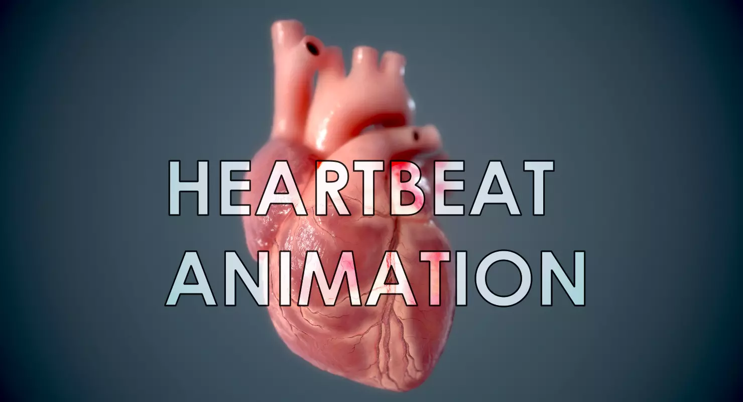 Human Heart - heartbeat animation Low-poly 3D model_0
