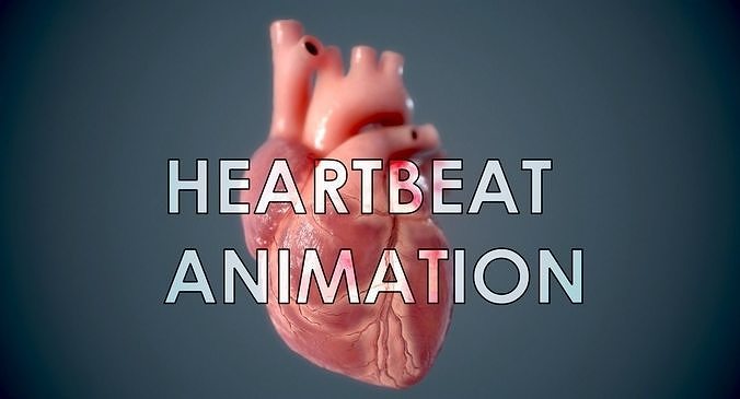 Human Heart - heartbeat animation Low-poly 3D model