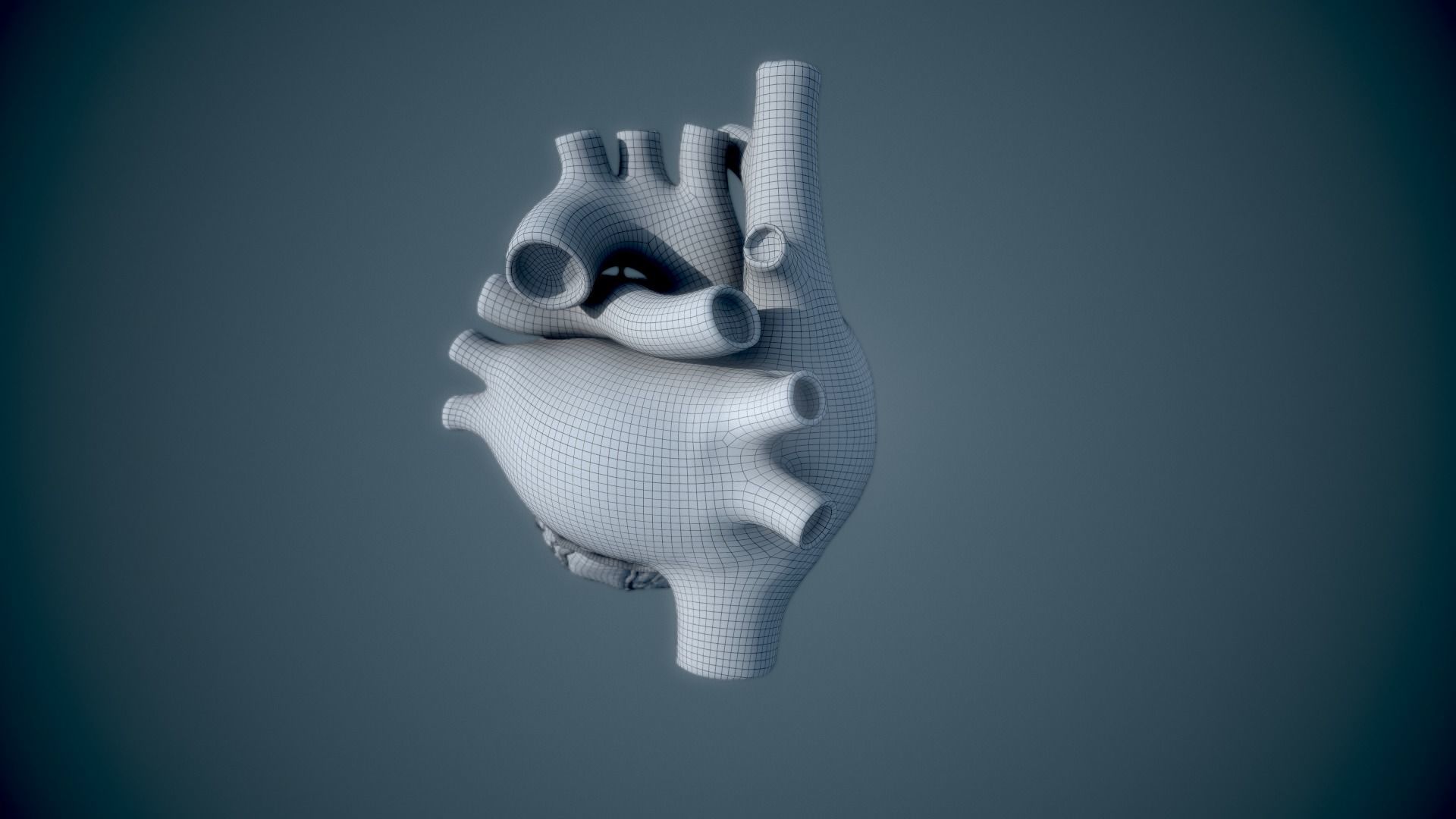 Human Heart - heartbeat animation Low-poly 3D model_25