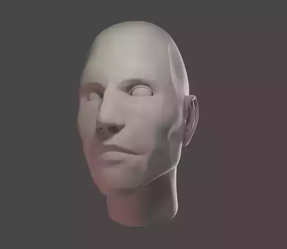 Male Head Sculpt Highpoly