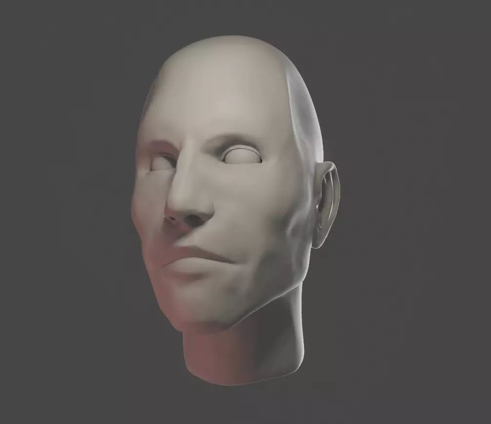 Male Head Sculpt Highpoly 3D model