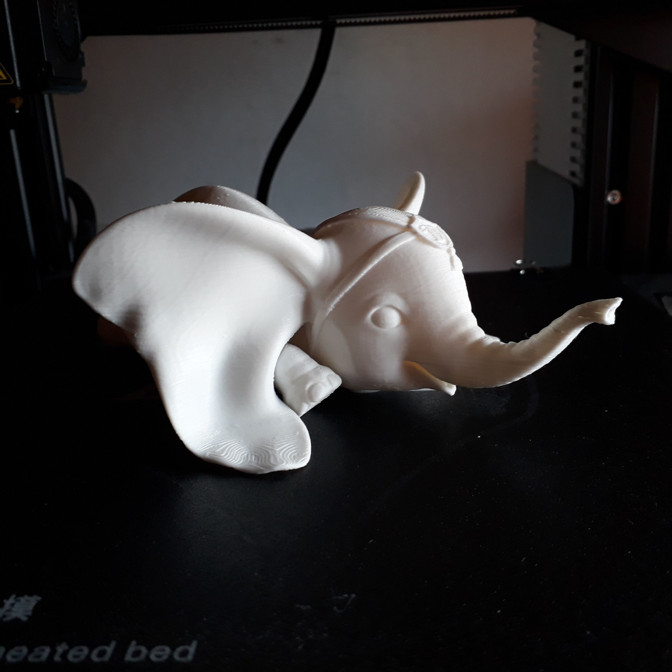 Baby Dumbo 3D print model_10